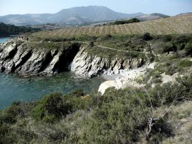 photo coins arrondis